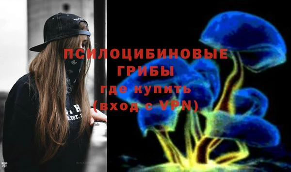 дживик Магадан