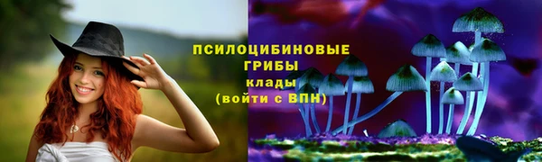 соль ск Мегион