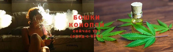 ECSTASY Майский
