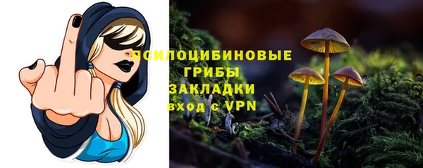 дживик Магадан